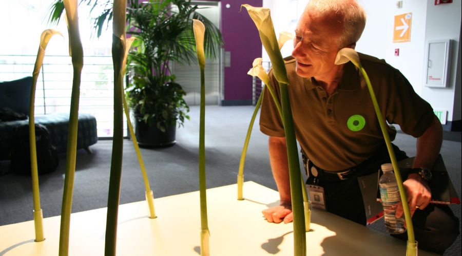 Fallece Larry Tesler el genio desconocido del copia-pega